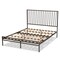 Baxton Studio Jeanette Modern and Contemporary Black Finished Metal Full Size Platform Bed 176-10991-Zoro - alternate 5